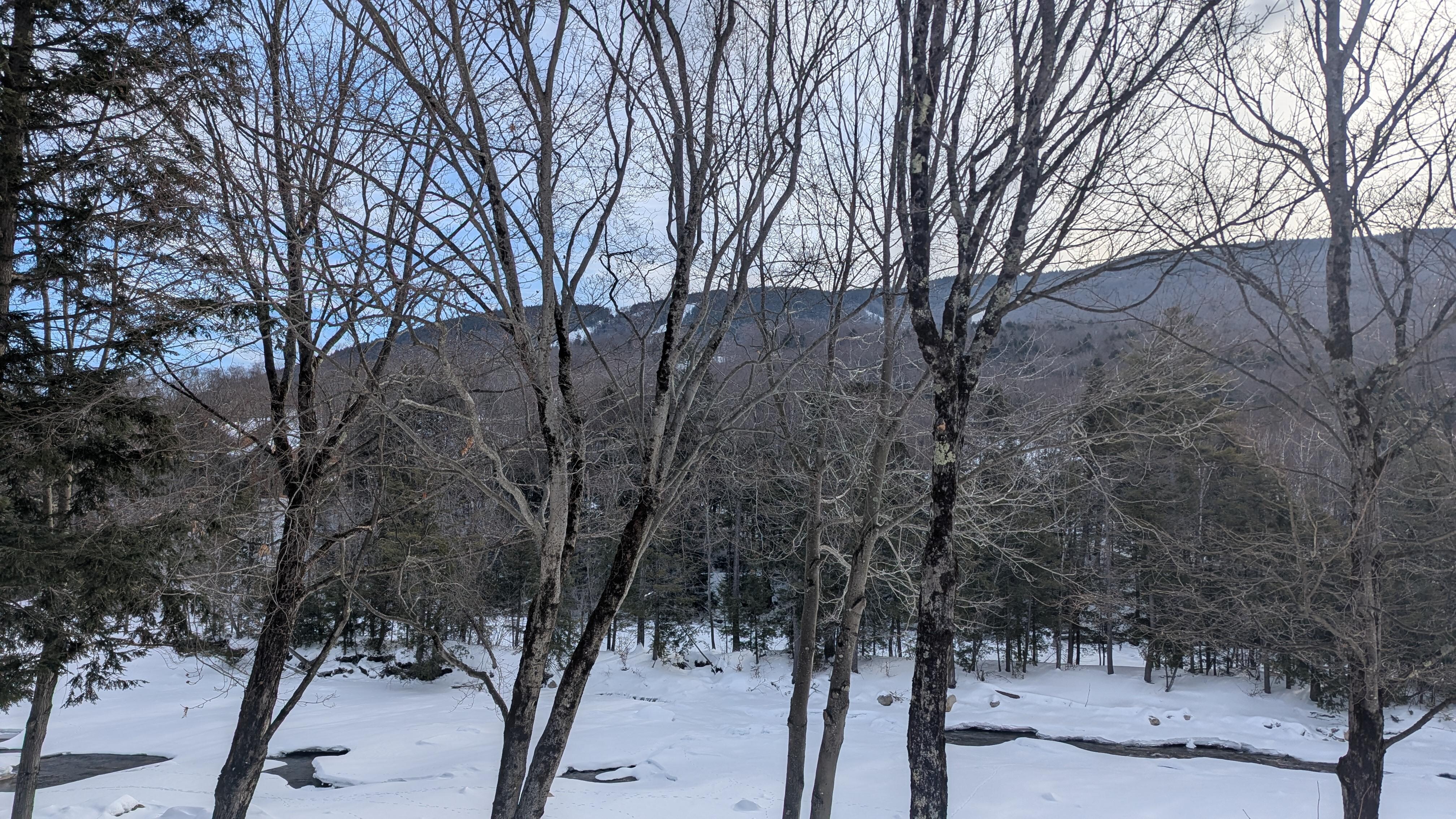 View from back porch