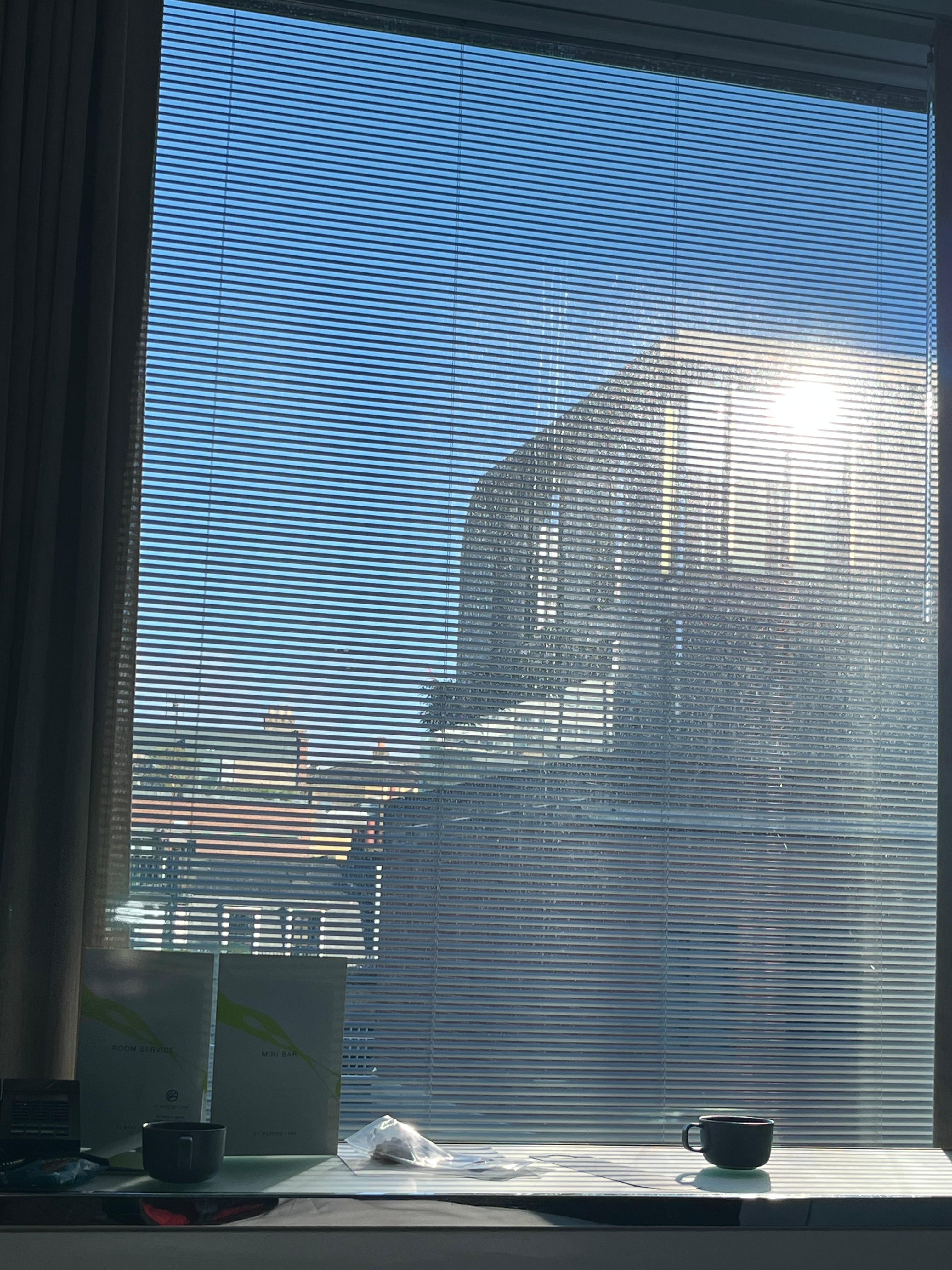 View from room 432 North facing 