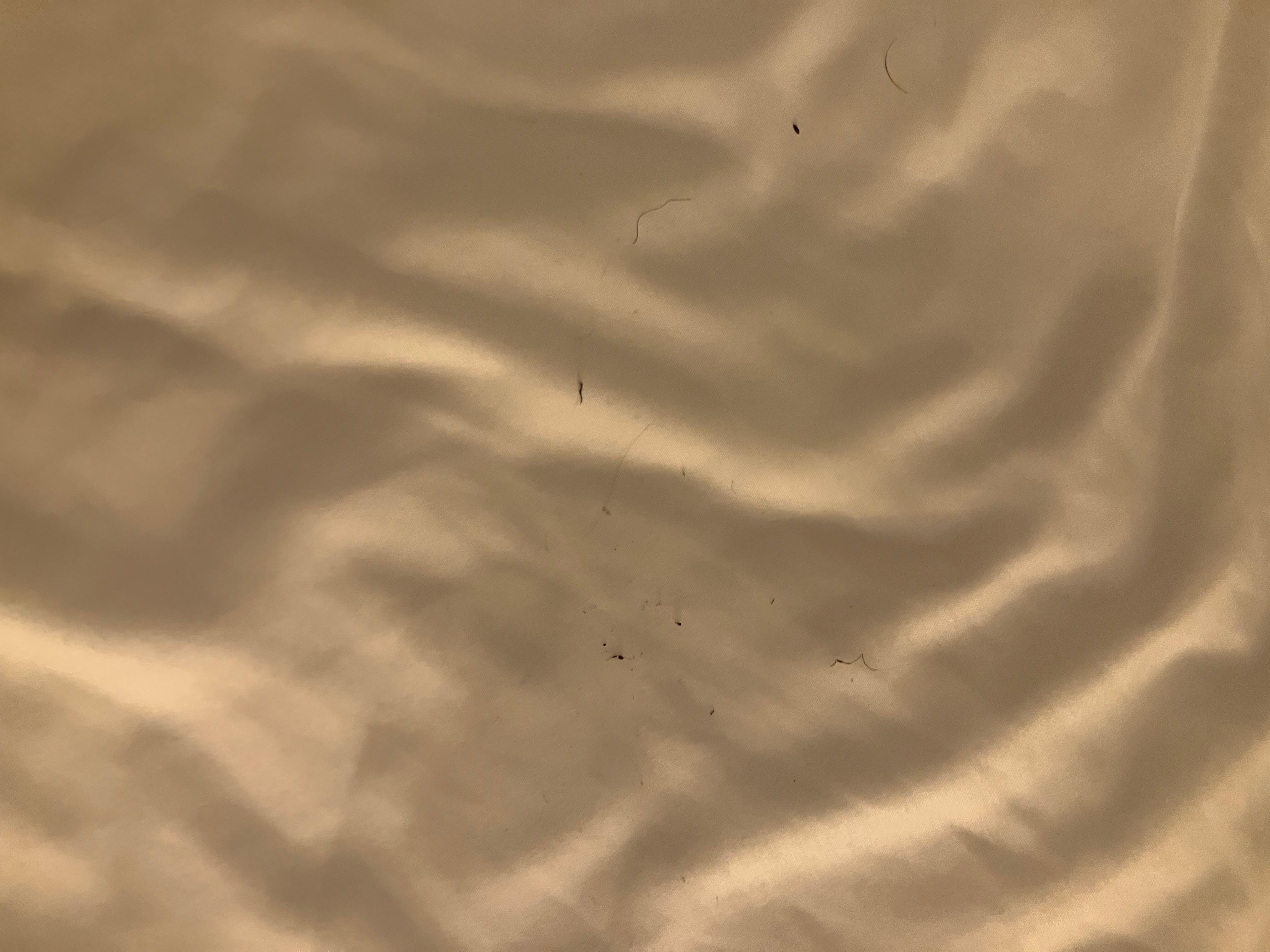 Dirty sheets
