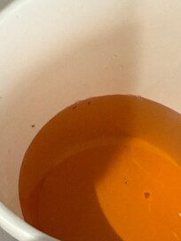Bugs in breakfast juice.
