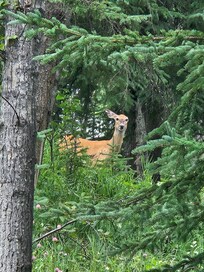 Hiking trail