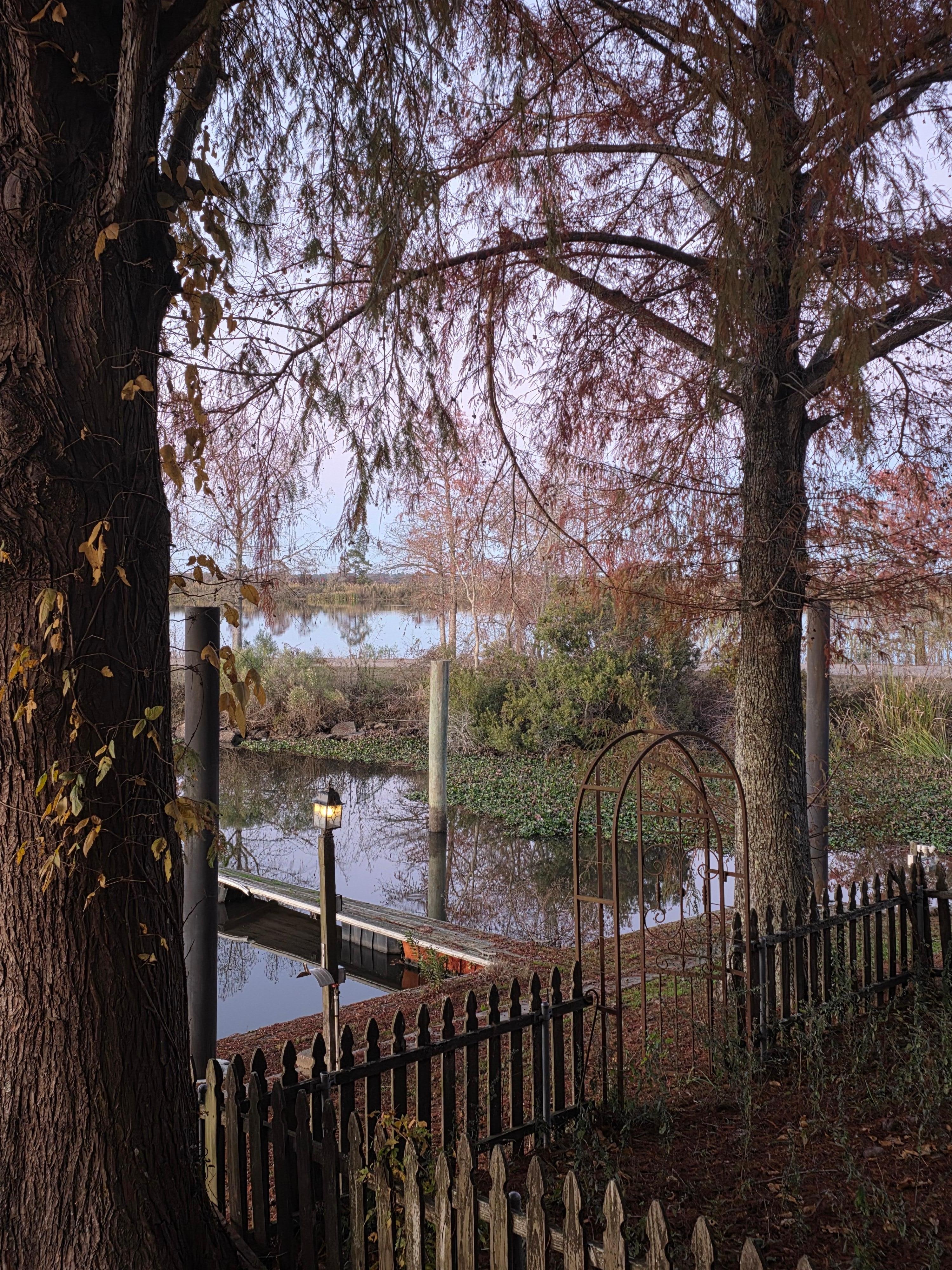 View from back porch