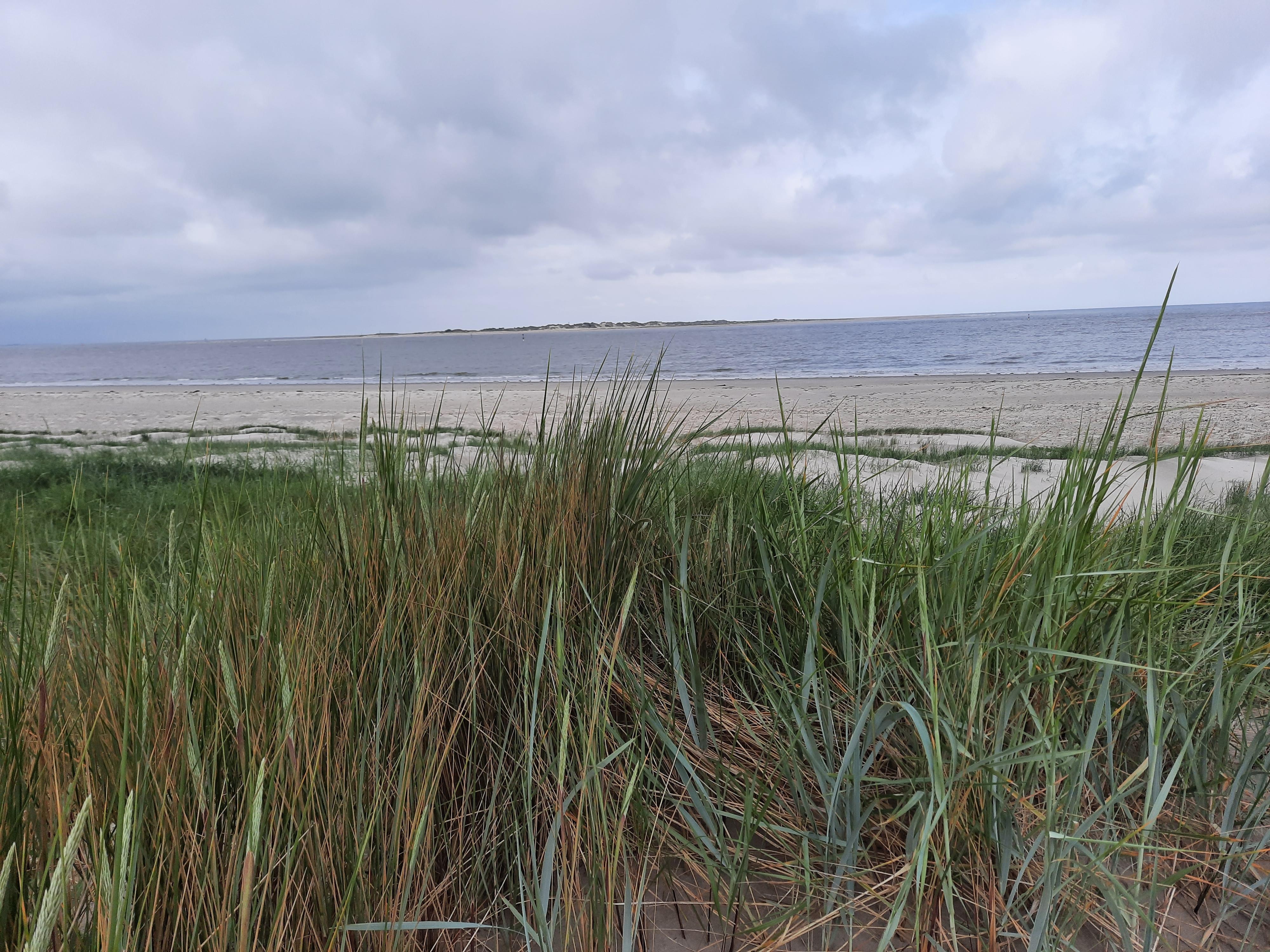 Blick von Hafen auf Norderney 