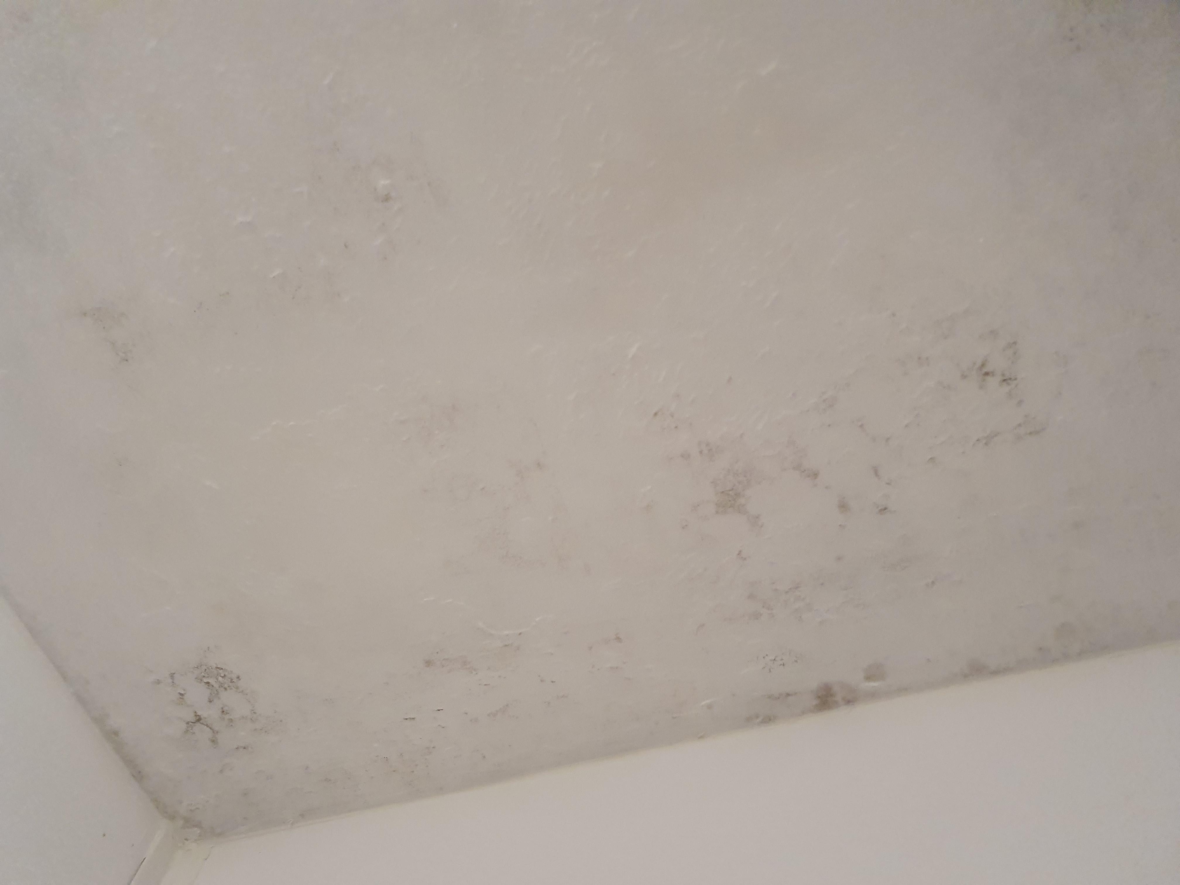 Damp in and around the shower cubicle