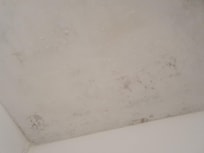 Damp in and around the shower cubicle