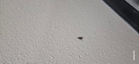 Roaches change rooms run down and old and o not customer friendly.