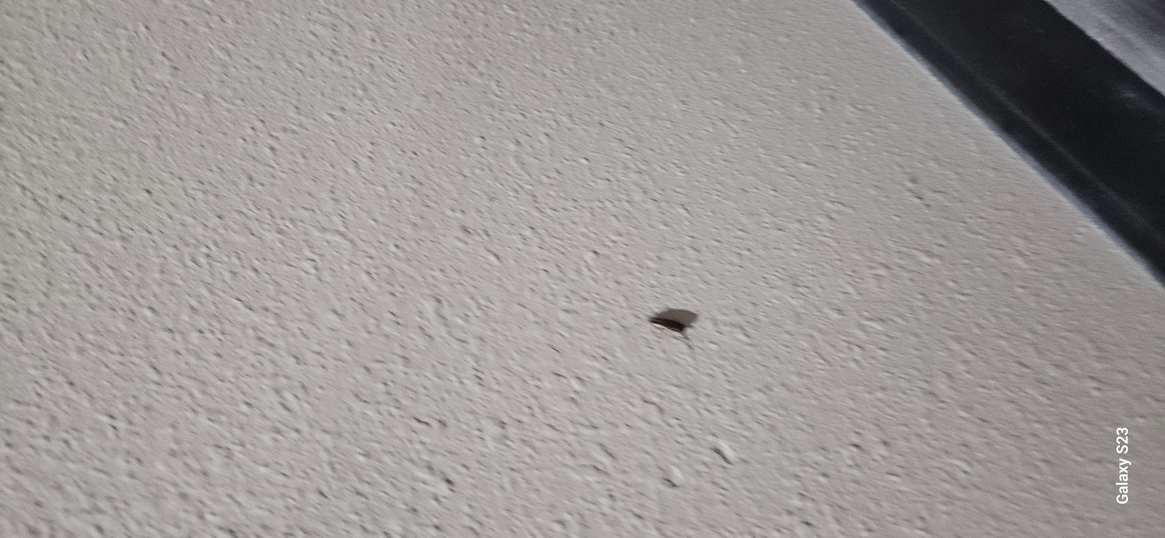 Roaches change rooms run down and old and o not customer friendly. 
