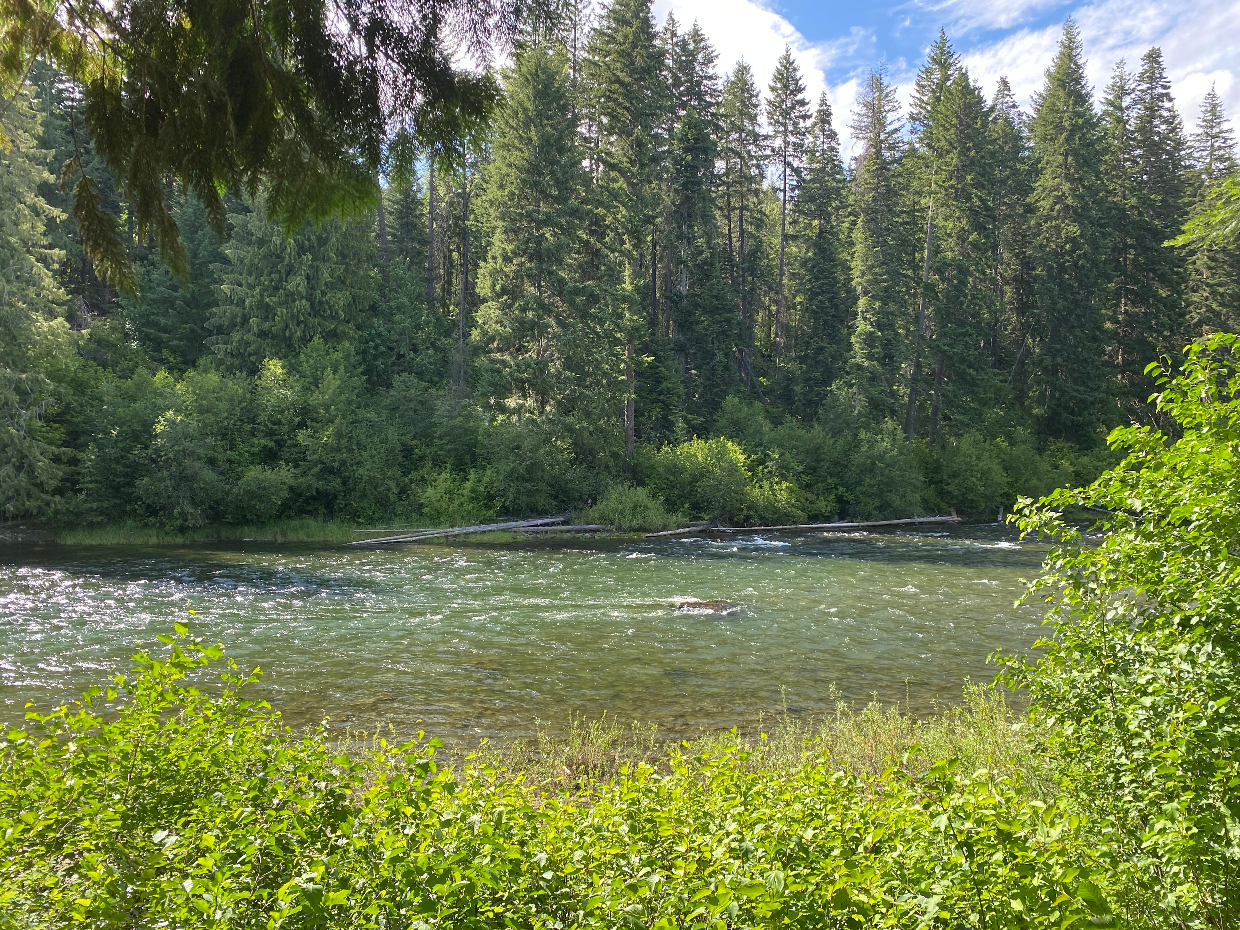 Wenatchee River from deck