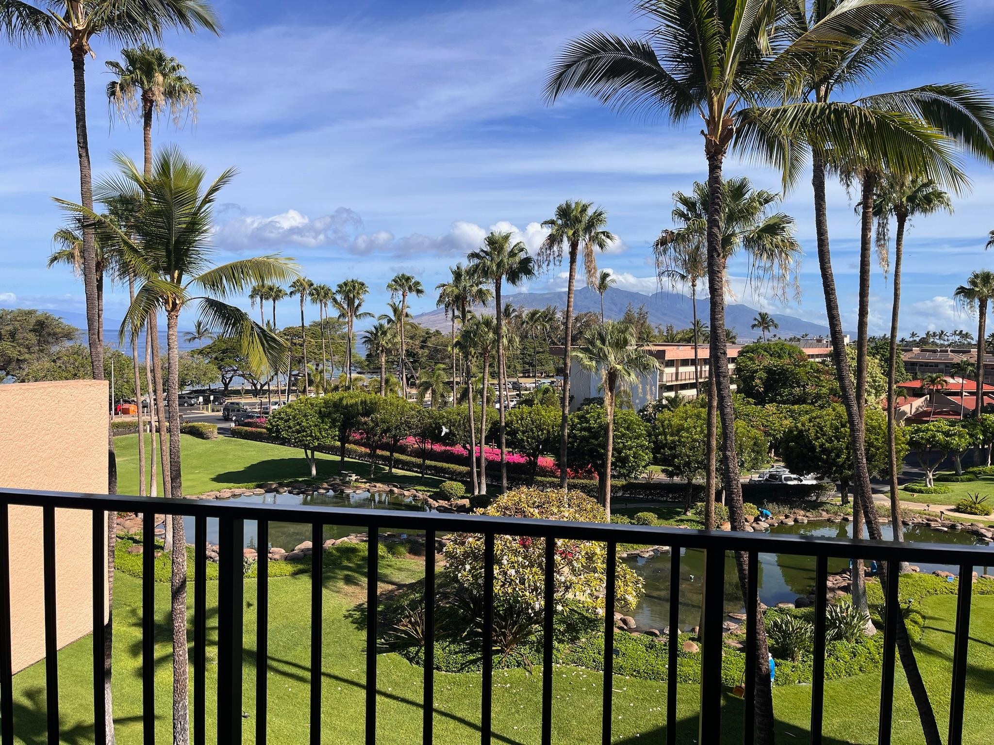 View from the lanai!