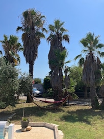 Le hamac sous les palmiers pour se reposer