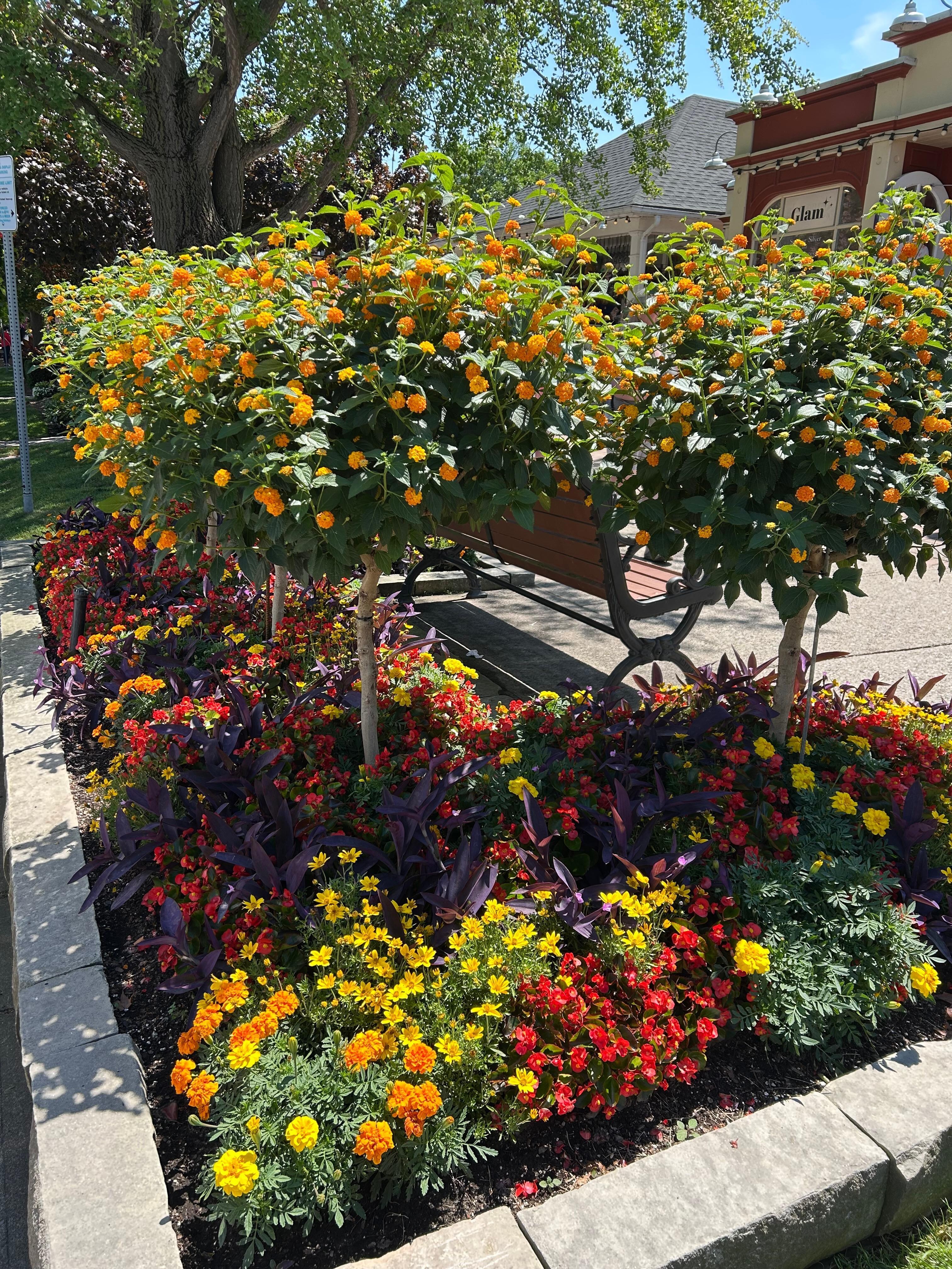 Historic downtown Niagara on the lake