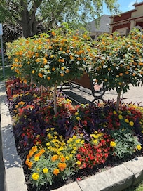 Historic downtown Niagara on the lake