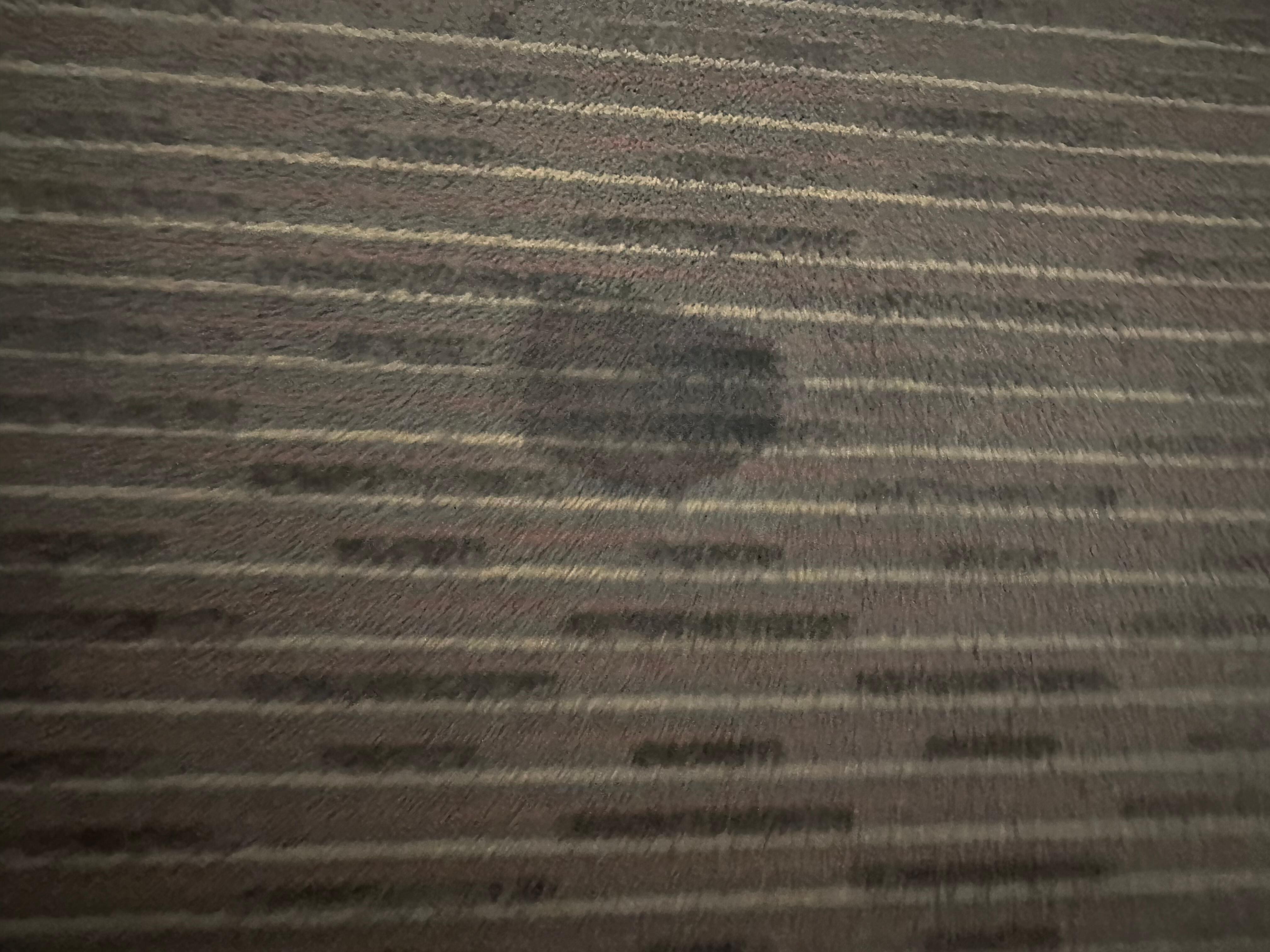 One of several carpet stain