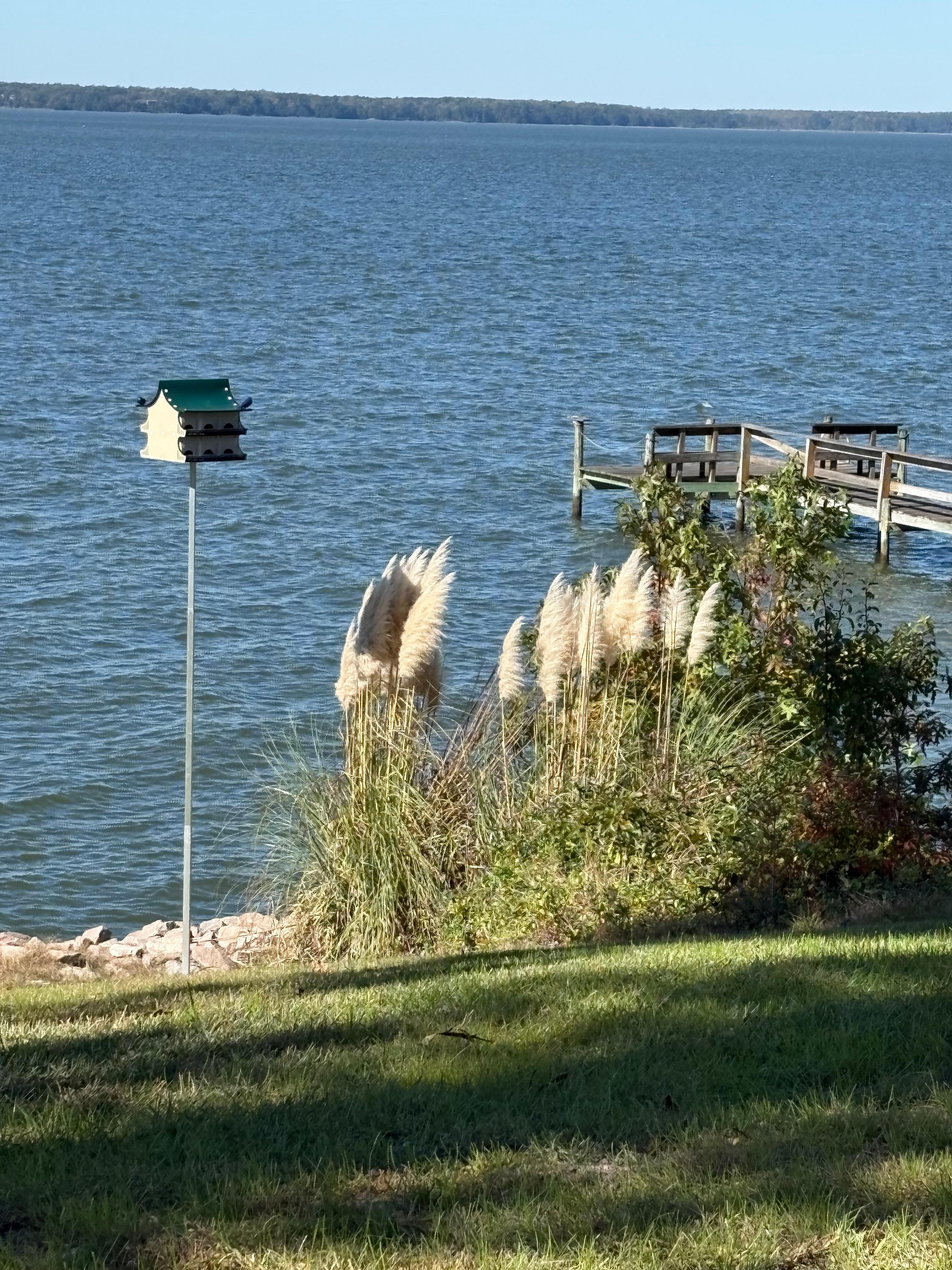 Beautiful view for Bird watching 