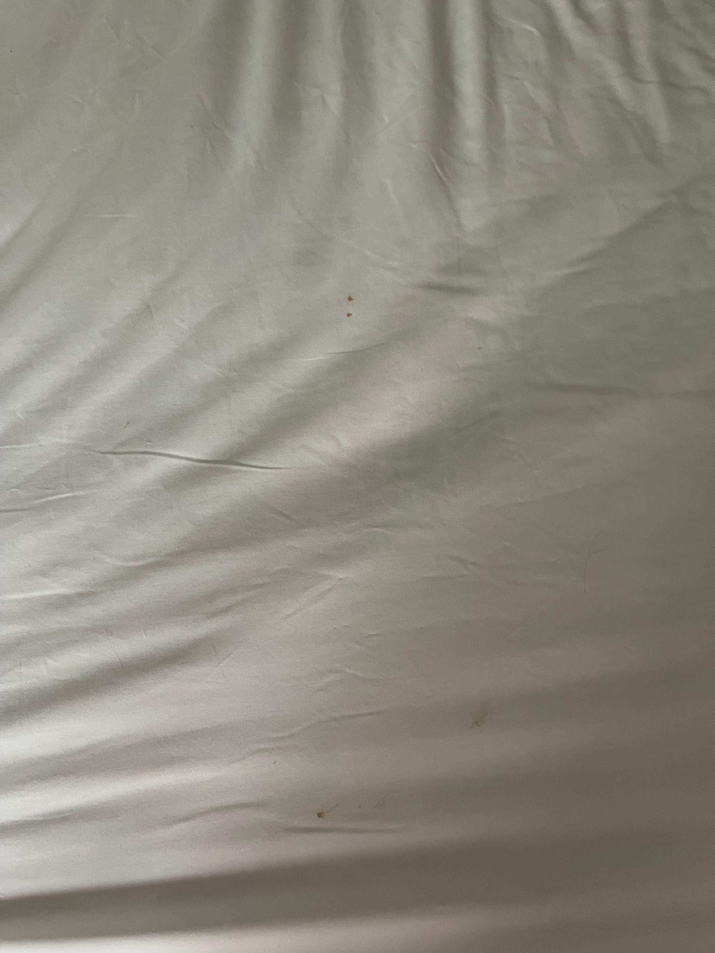 Stain