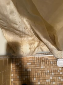 Filthy, moldy(?) shower curtain