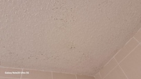 mold on ceiling