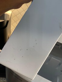 Mildew and mold in ice machine