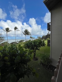Day time view