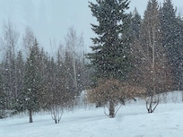 Looking out from the dining hall
