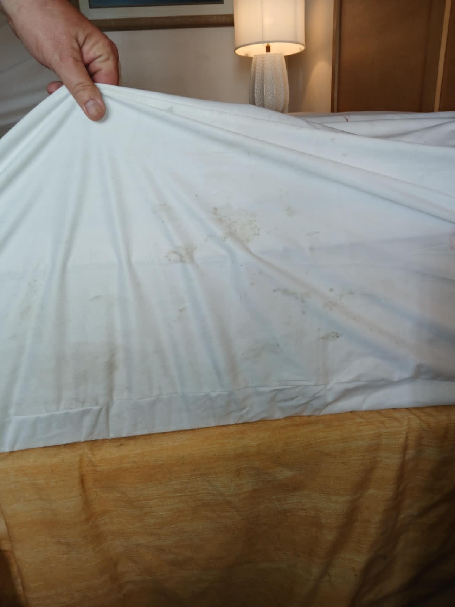 Stains and blood spots on yet another area of mattress cover.