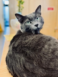 The prince of the hotel :)