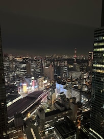 View from room 3804. Top floor.