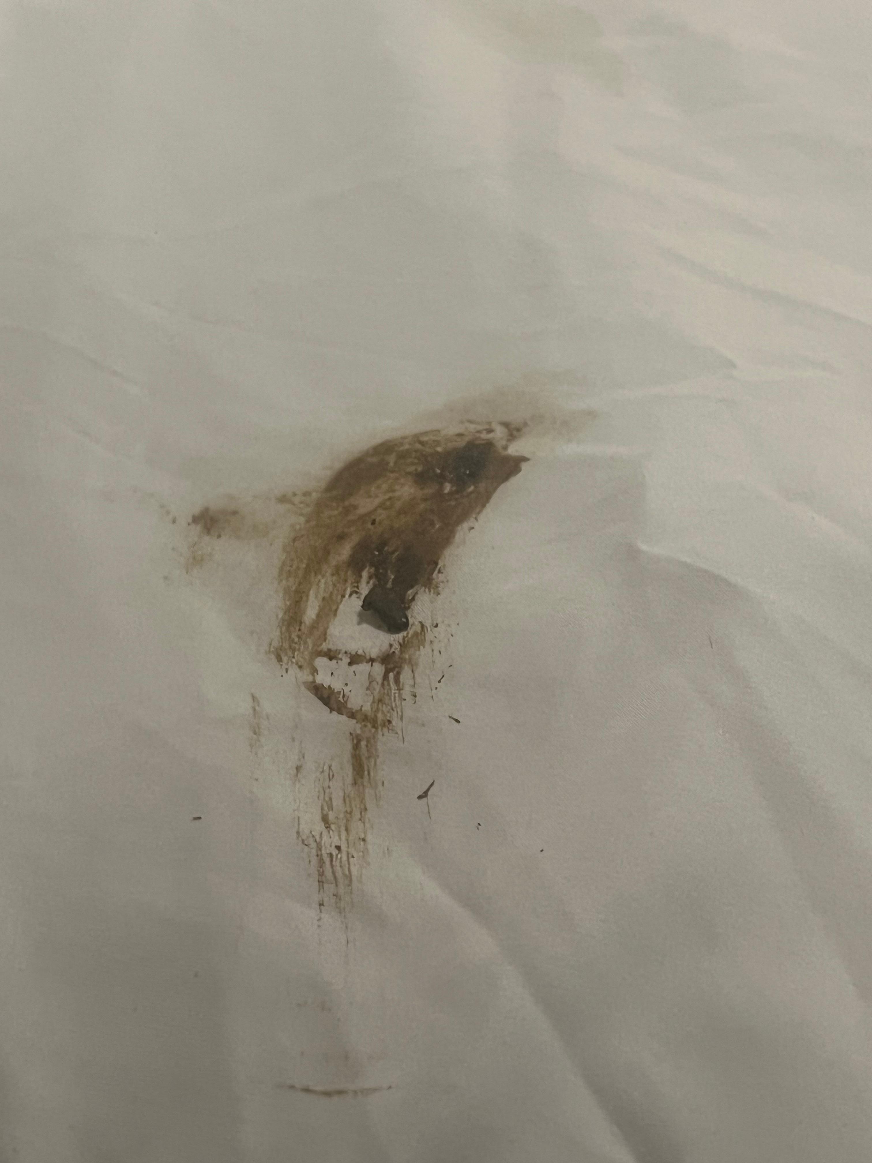 Soiled poop sheets in attic room bed