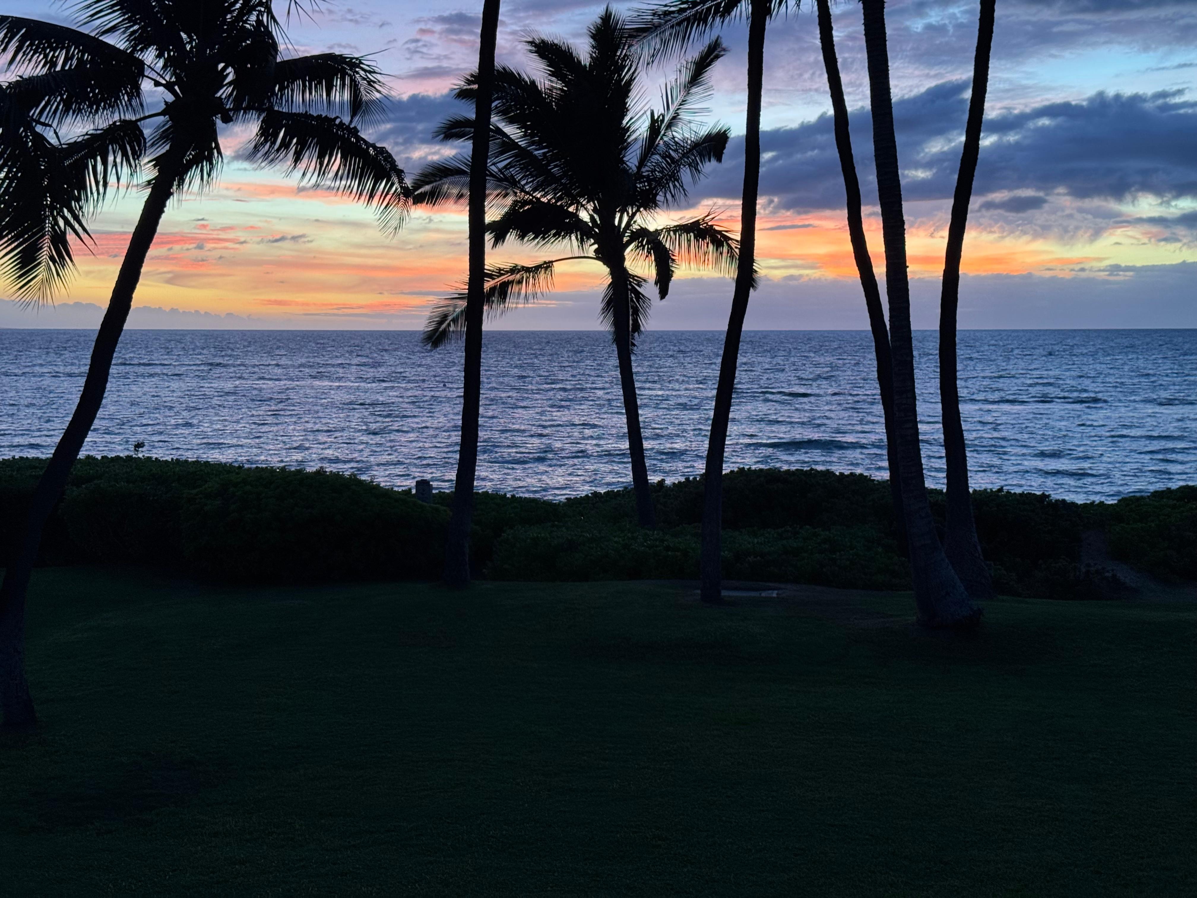 Another view from the balcony.