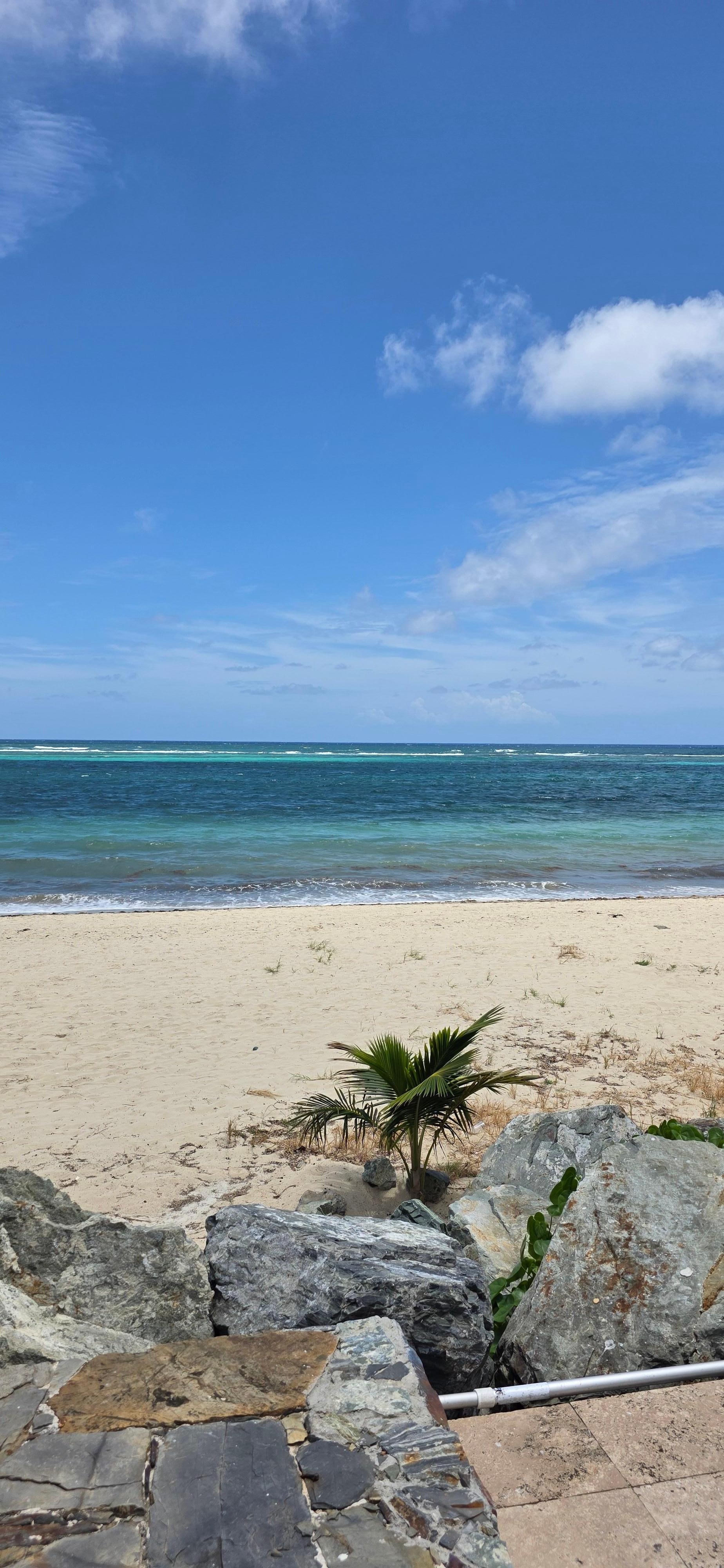 Just a day on the beach 