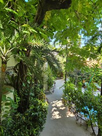 Grounds in front of hotel