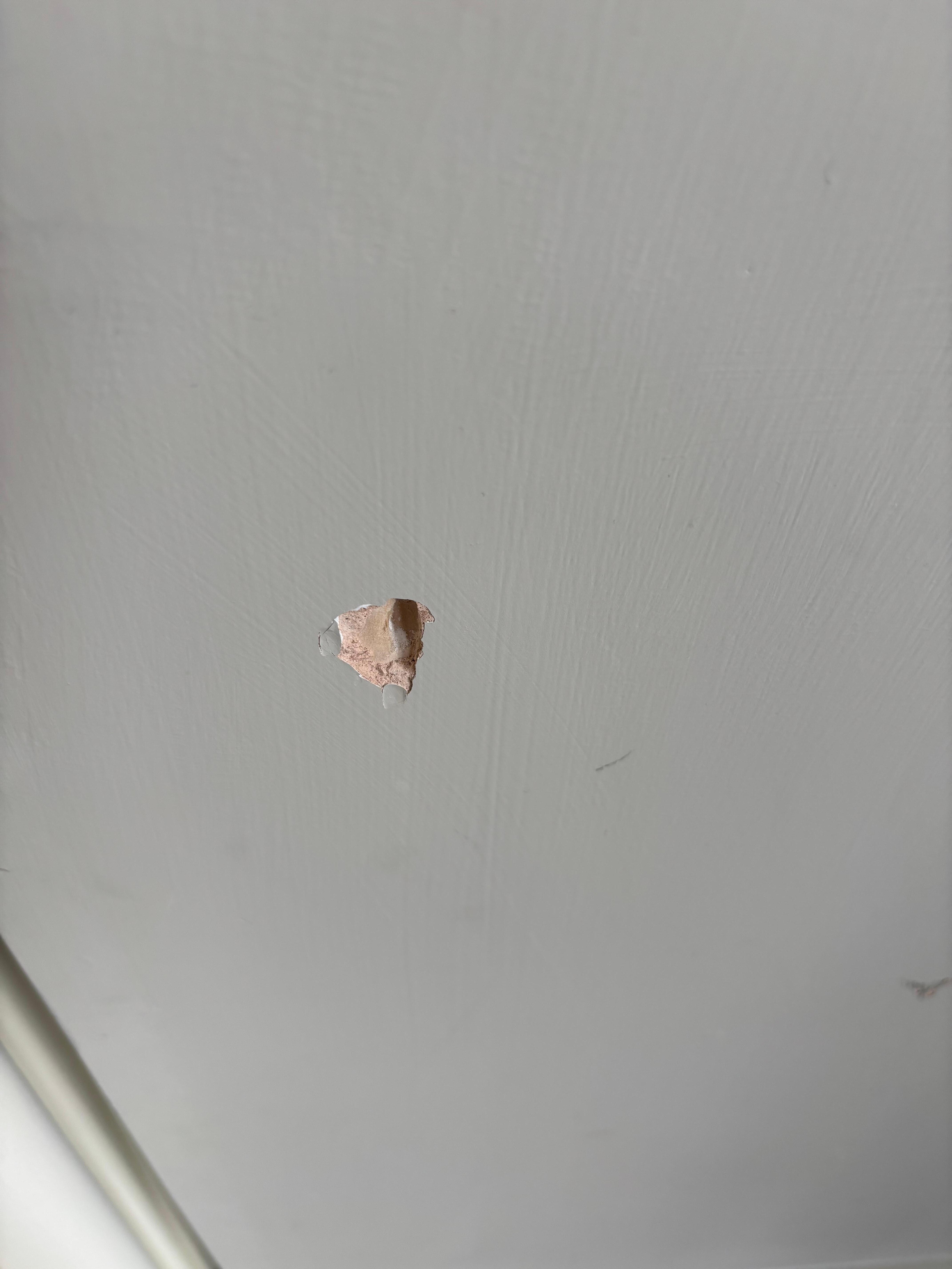 Hole in wall