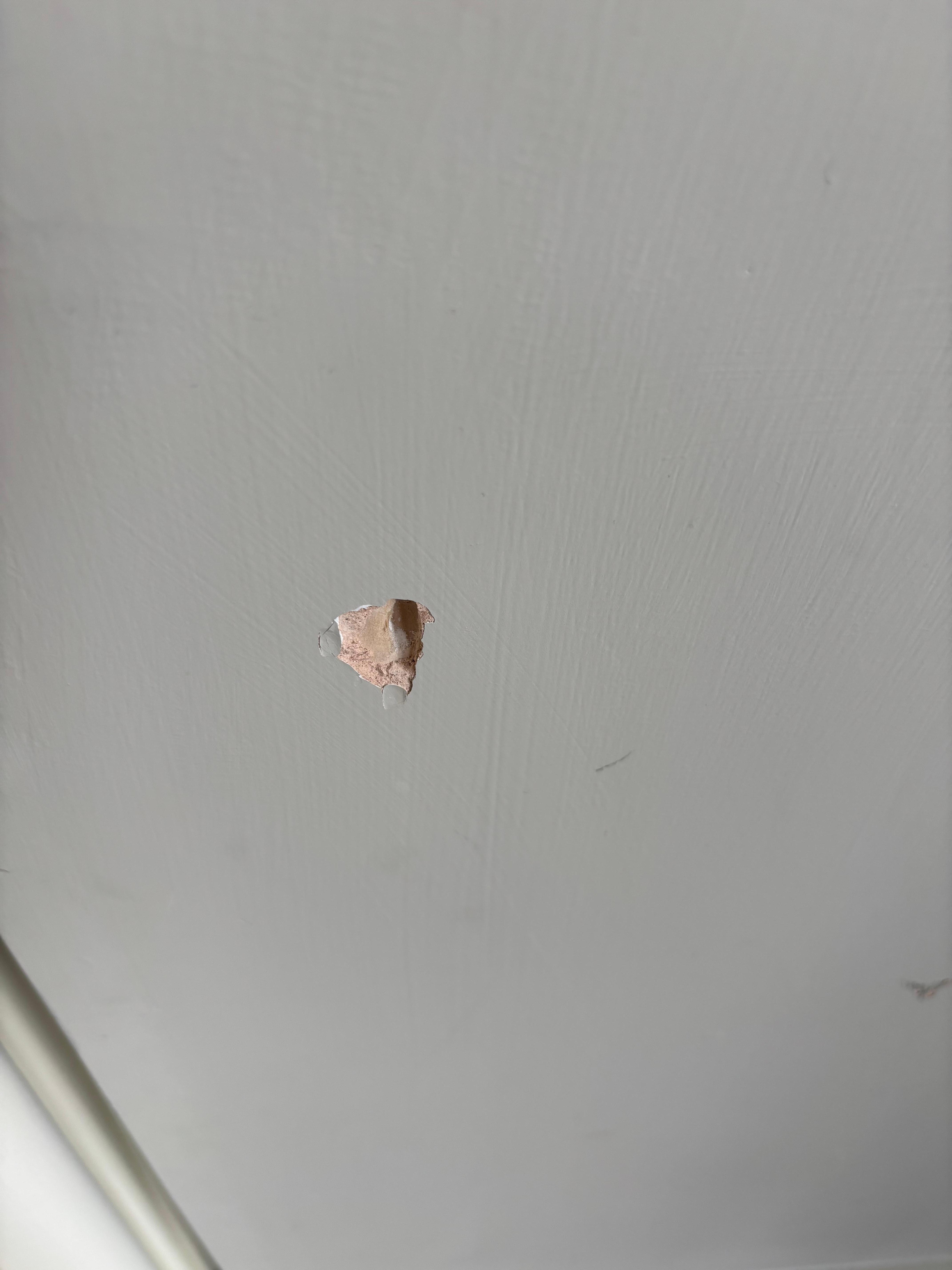 Hole in wall
