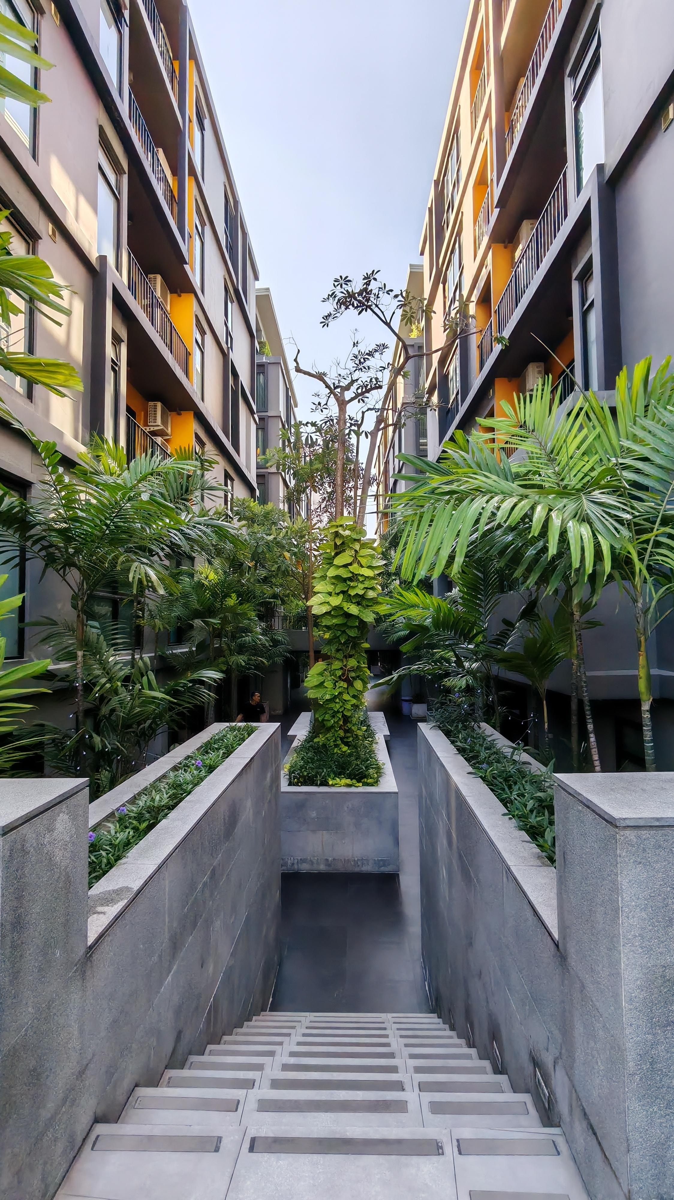 A View from Swimming Pool