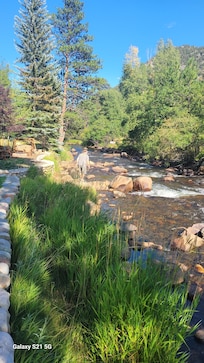 The creek by the cabin, my husband caught trout in.