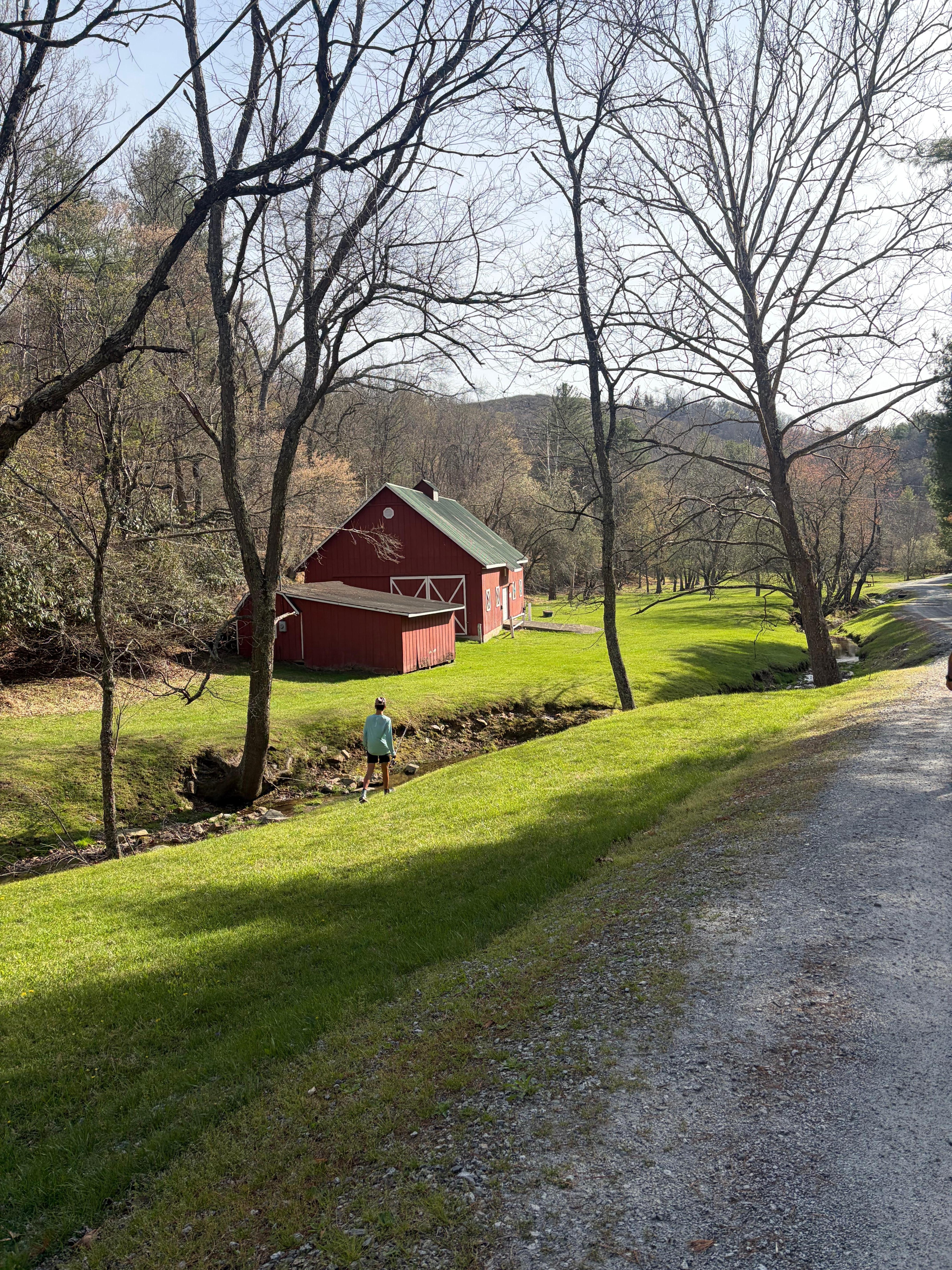 Beautiful walk to the river 