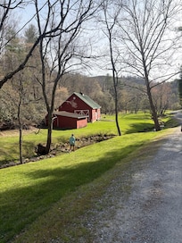 Beautiful walk to the river