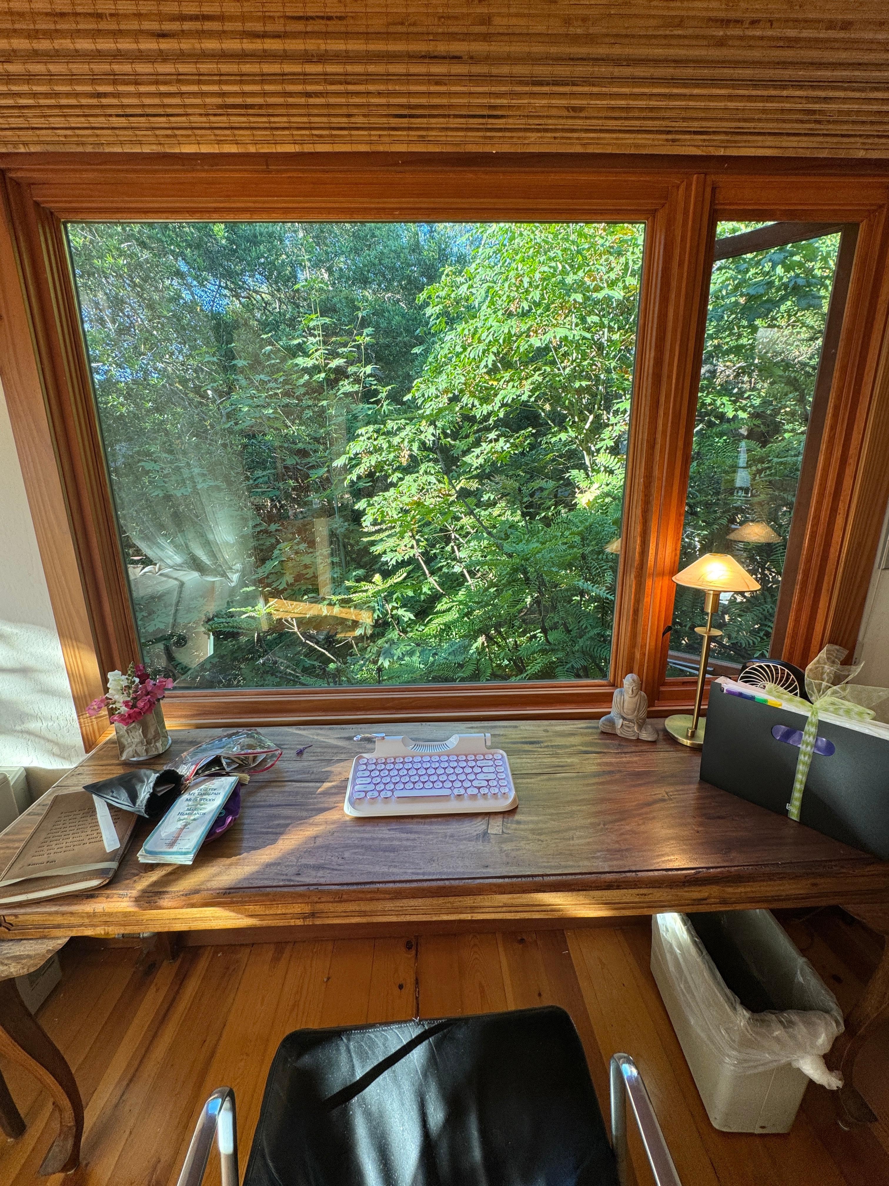 I wish I could write here every day