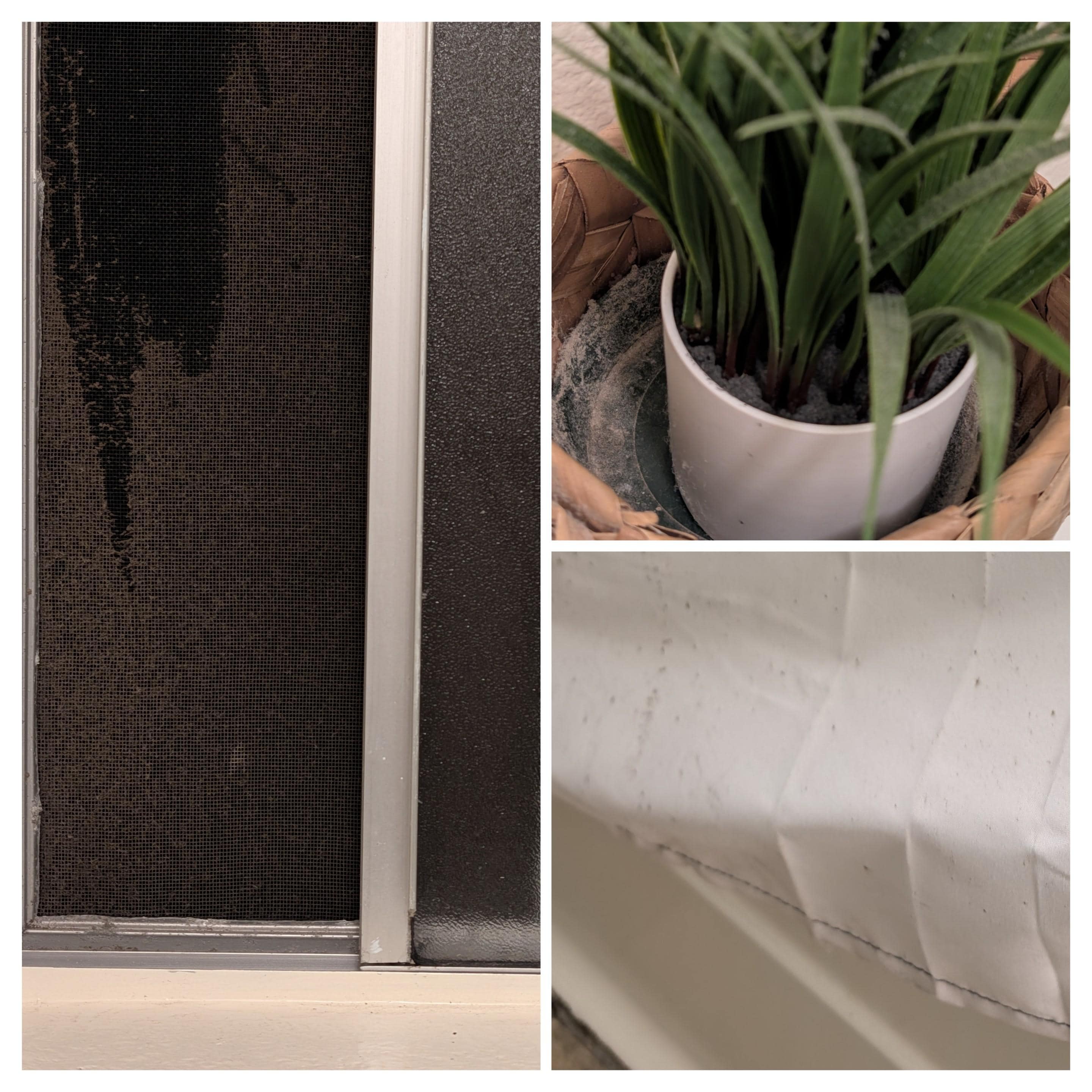 Upstairs bathroom. Dust on screen and plant. Mold on shower curtain.