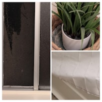 Upstairs bathroom. Dust on screen and plant. Mold on shower curtain.