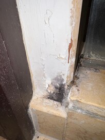 Mold growing in the corner near the shower