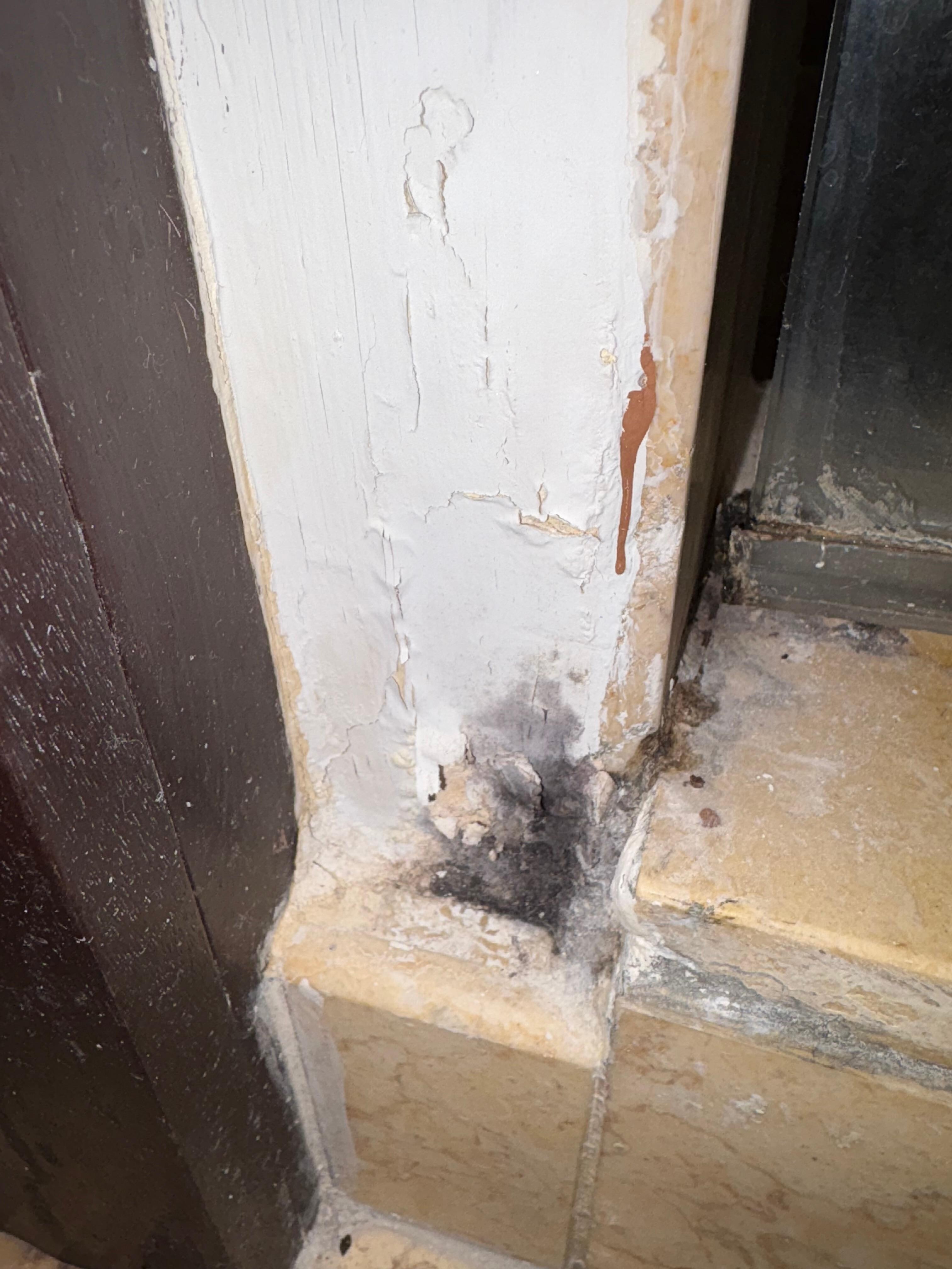 Mold growing in the corner near the shower