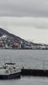 View from the side window of the room