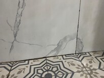 Mold between the tile in the shower