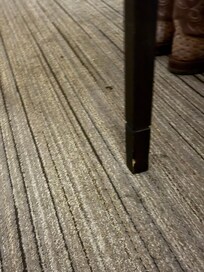 cigarette burns in the carpet