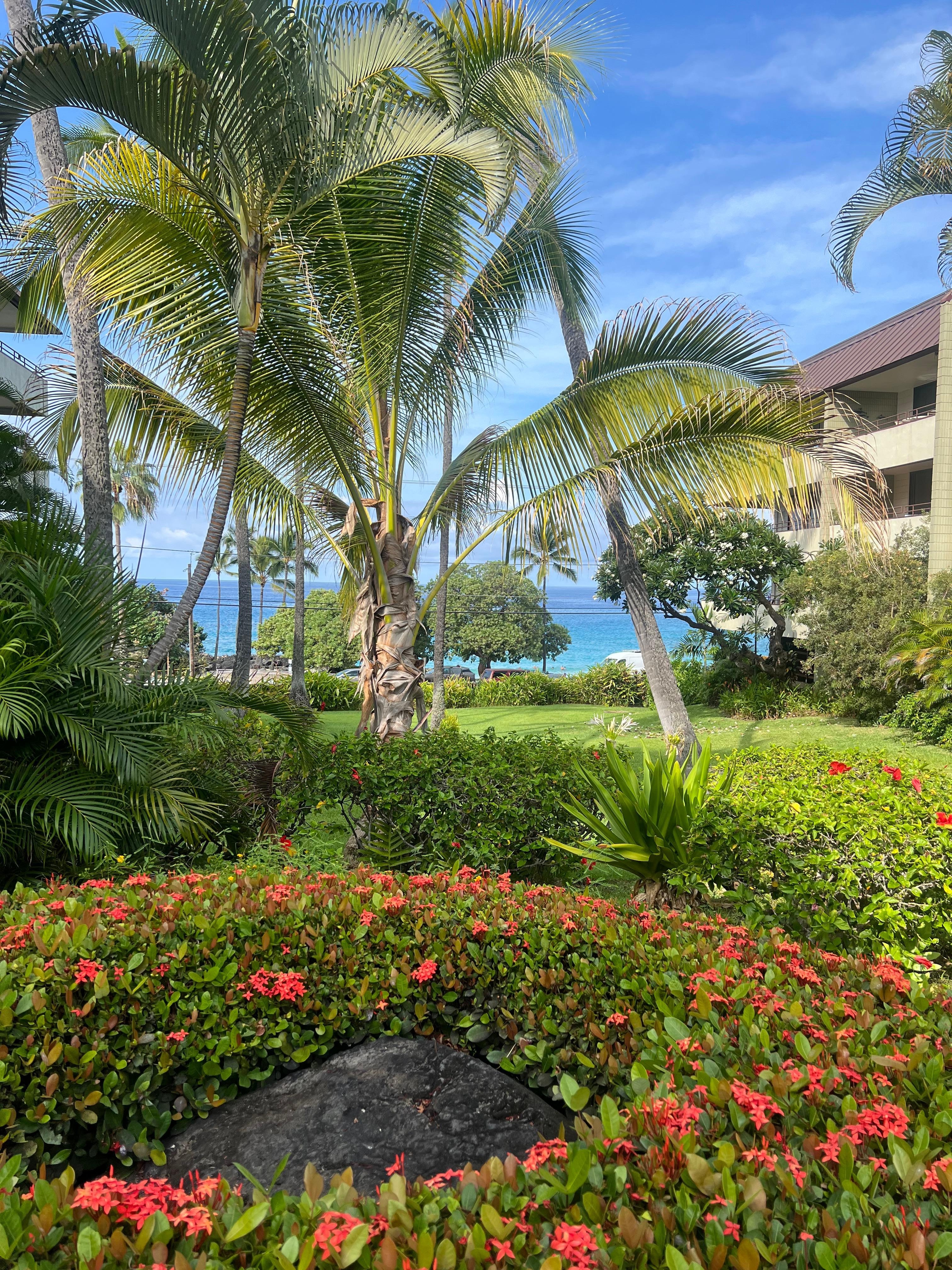 View of the beach/ocean from the pool area. 