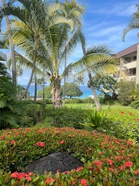 View of the beach/ocean from the pool area.