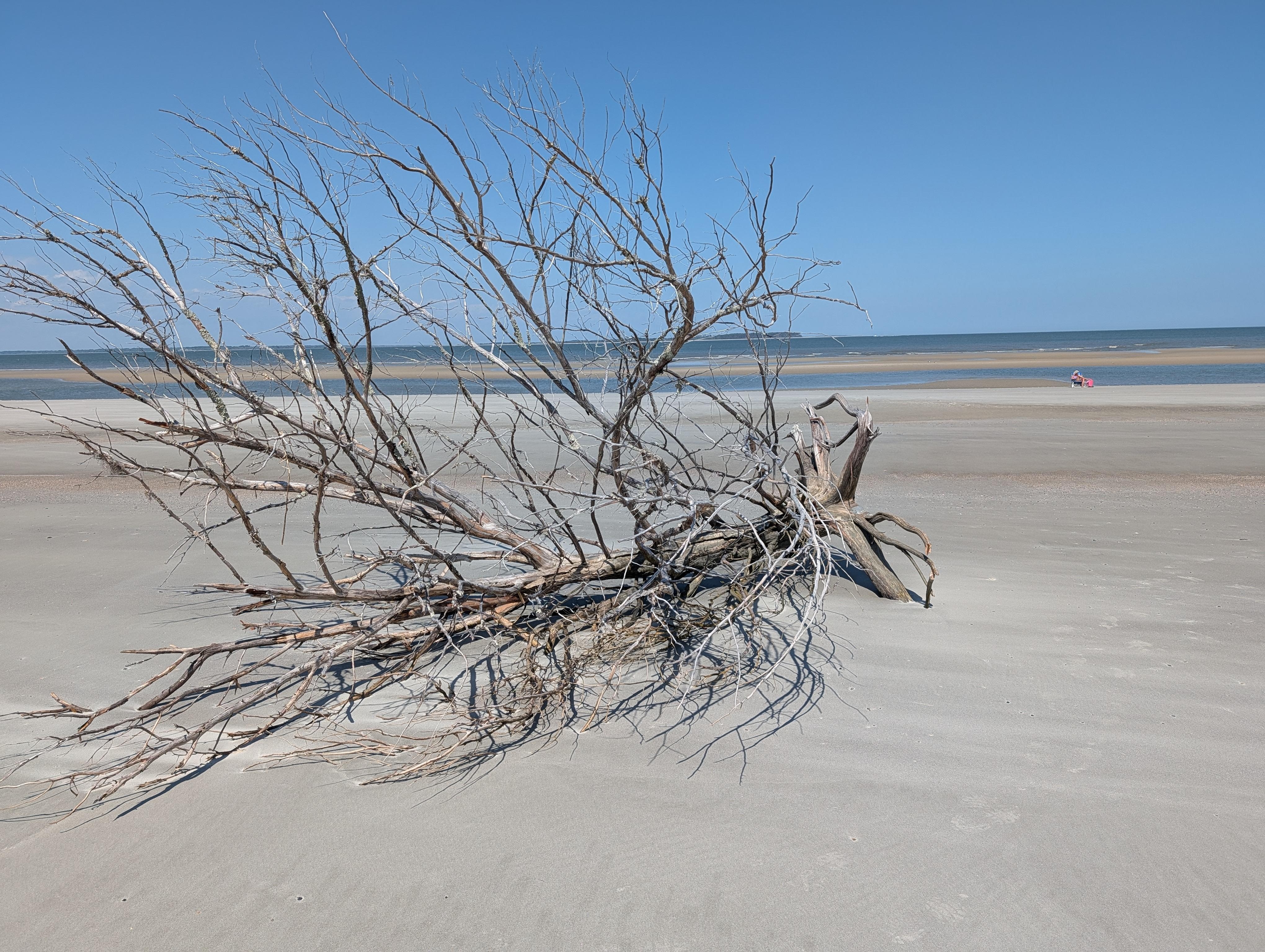 Natural, uncrowded beaches in April.