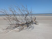 Natural, uncrowded beaches in April.
