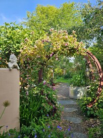 Arbor along the garden path